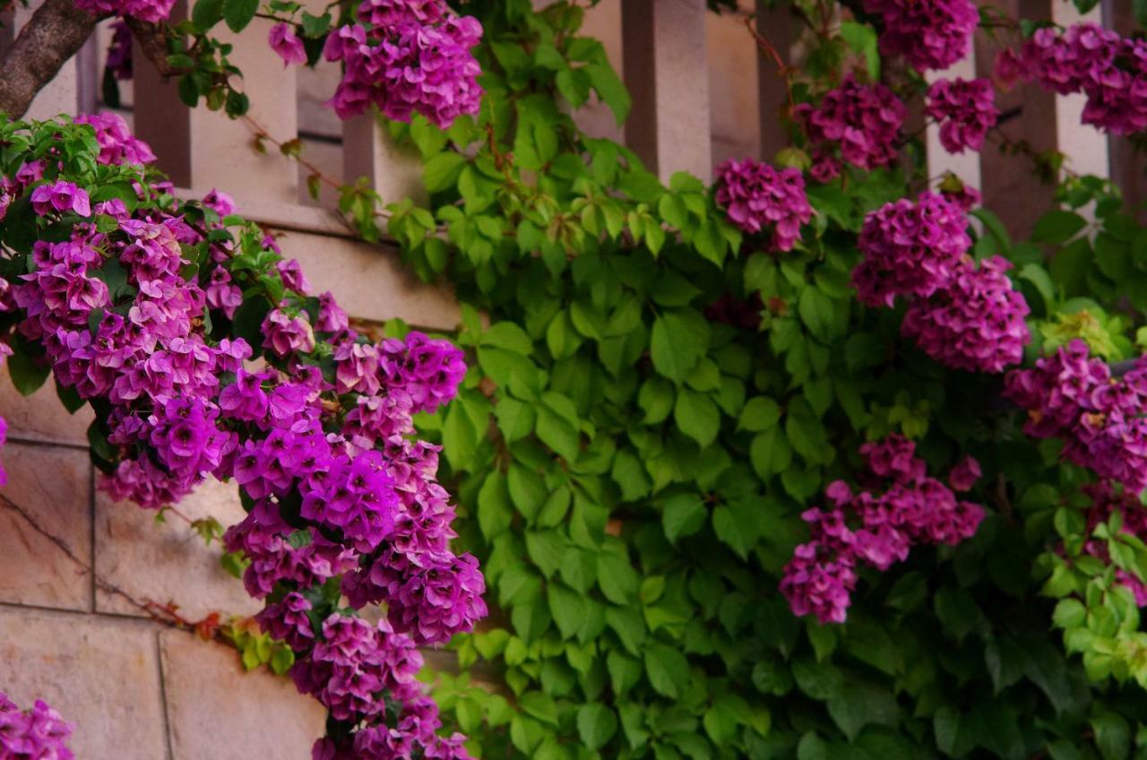 Large And Charming Apartment Near Beach With Big & Sunny Terrace Sumartin Εξωτερικό φωτογραφία